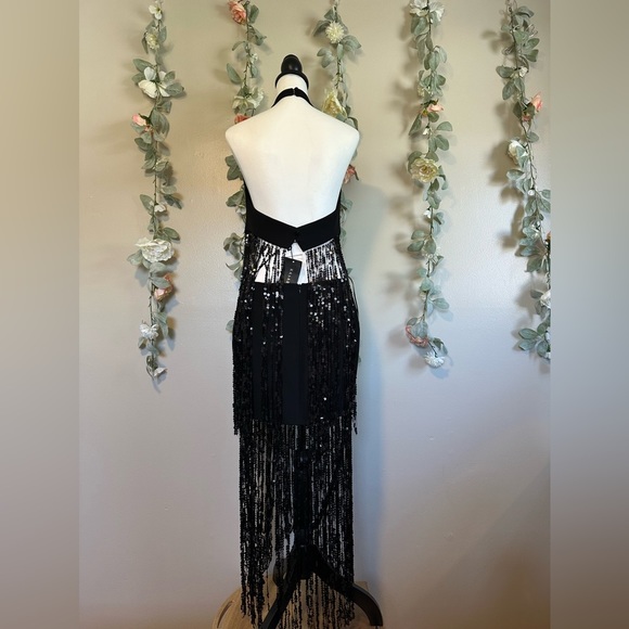 RASARIO Sequinned Fringe Dress in Crepe - Picture 10 of 15